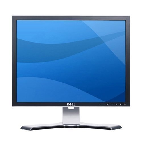 dell 2007fpb lcd monitor